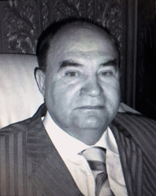 проф. Володимир Лубський